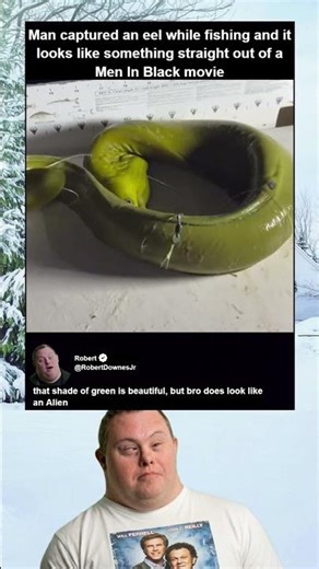 This Eel Looks Like An Alien
