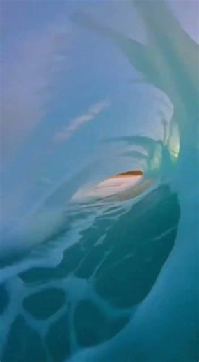 Epic Surf Adventure in Hawaii's Paradise 🌊 Catch the Waves with Us! #hawaii #surf