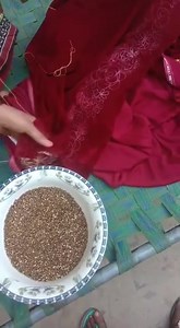 41K views · 515 reactions | 9000 micro velvet shirt . Hand work. Download our mobile app to place order and DO NOT PAY advance to anyone. Follow our new page for Jewellery updates. https://play.google.com/store/apps/details?id=pk.aneela.android | Aneela's Collection | Facebook