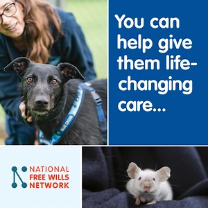 Writing your Will needn’t be stressful or expensive. With The National Free Wills Network you can write your Will for free and remember the causes that matter to you. | Blue Cross UK