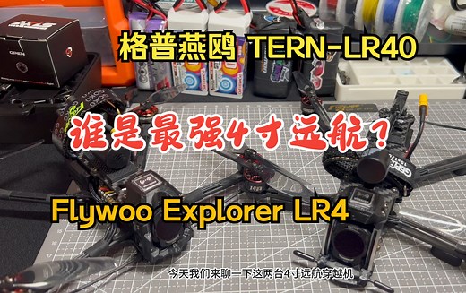 格普燕鸥Tern LR40和Flywoo Explorer LR4 大比拼 你会如何选择4寸远航穿越机？