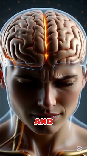 How Serotonin Affects Your Brain & Mood | 3D Human Body Animation #animation #anatomy3d #facts