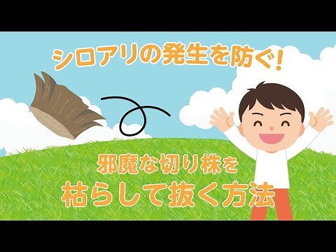 【切り株の枯らし方】シロアリを防ぐ！邪魔な切り株を枯らして抜く方法