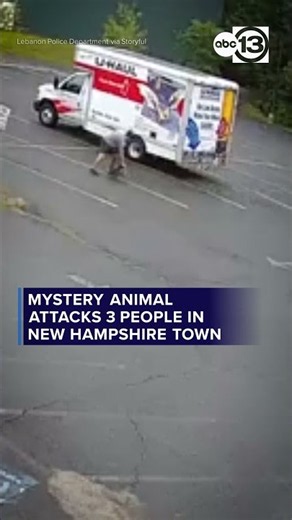 Mystery animal attacks 3 people in New Hampshire town