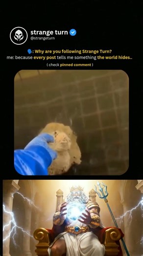 strange turn on Instagram: "Some lifeforms thrive where nothing else should survive. 🌑🪱👁️ This video shows a dark, living mass moving like a single organism — until it’s disturbed… and suddenly hundreds of worm-like bodies burst apart, writhing in every direction. No bones. No eyes. Just pure motion. 😨🌀 They appear in filthy water, deep sludge, places humans can’t even stand near. Yet they live. They multiply. They adapt. Watching them move feels less like nature… and more like something an