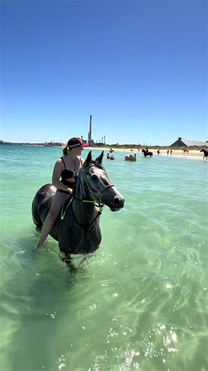 Breeding a Filly: A New Adventure Awaits