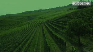 La politique agricole commune (PAC) est l'une des politiques...