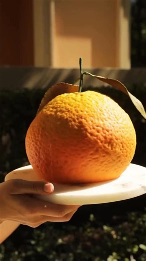 🇺🇦Silicone moulds for cakes by Dinara Kasko on Instagram: "Our XXL mold is made for those who want maximum wow with minimum effort. You can even create a giant Orange-shaped cake in it — smooth, clean, perfectly round🍊 Why bakers love it: — perfect geometry with zero struggle — large volume = instant wow-effect — easy unmolding, no cracks, no stress Want something bold, bright, and impressive? Start with the right mold✨"