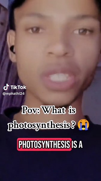 Understanding Photosynthesis: The Heart of Nature