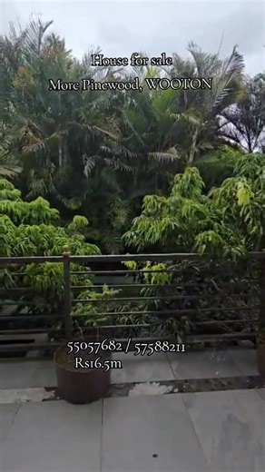 🏡 Cozy Semi-Furnished Home for Sale 📍 Morcellement Pinewood Price: Rs 16.5m (Negotiable) 📐 Land Size: 13 Perches | House Area: 3700 sqft 🔨 Year of Construction: 2018 Ground Floor: 1 Bedroom with Ensuite Bathroom Spacious Kitchen and Living Room Laundry Room Separate Toilet & Washroom Terrace Car Port First Floor: Large Living Room 3 Bedrooms (including 1 Bedroom with Ensuite and Built-in Wardrobe) Terraces Key Features: Alarm System & Anti-theft Security Air Conditioning throughout Green Spa