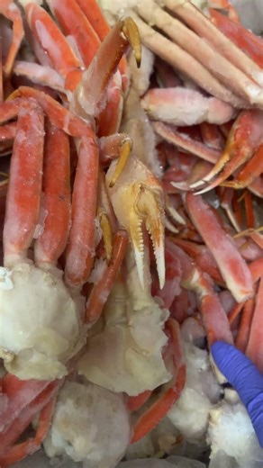 ❤️❤️❤️❤️