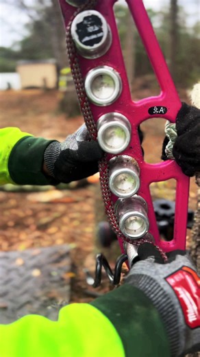 Innovative Arborist Equipment for Safe and Efficient Tree Removal