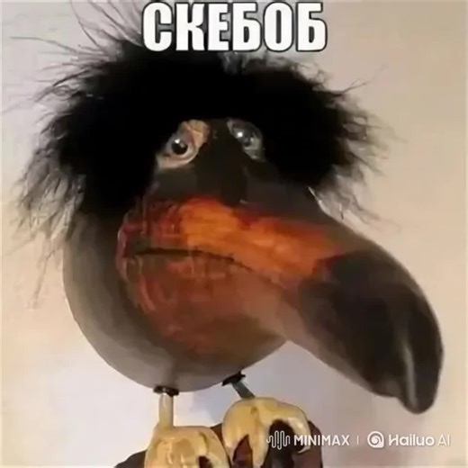 NashVPN on TikTok