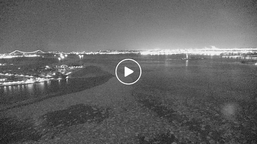 New York Harbor Cam