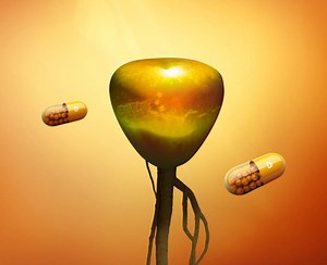 Nectaria Lithops: Vitamin D Activator - Vytrus