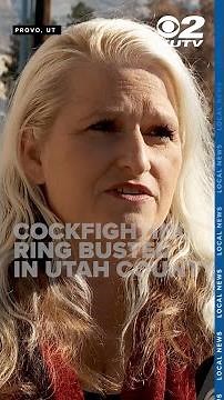 16 people arrested in bust of alleged organized cockfighting ring in Utah County