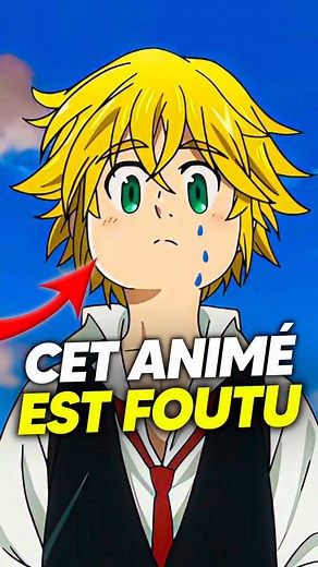 C’est quoi l’anime qui est parti en c* selon-vous ? 😅 Feat avec @andhy_pslt #anime #onepunchman #tokyoghoul #sevendeadlysins #kaijun8 #manga #sololeveling | animeofr