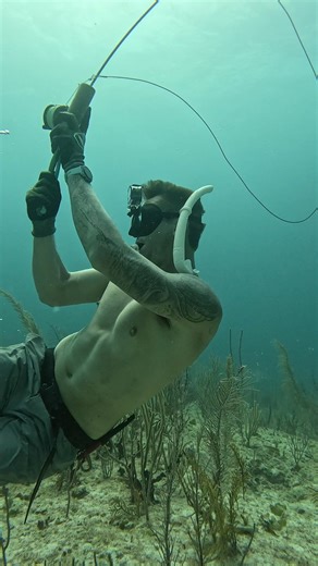 How We Spearfish for Food | Ryan Myers Spearfishing