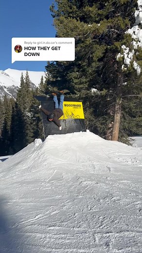 Syd Salzwoman on TikTok