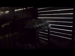 The Visit (2015) shed of diapers scene