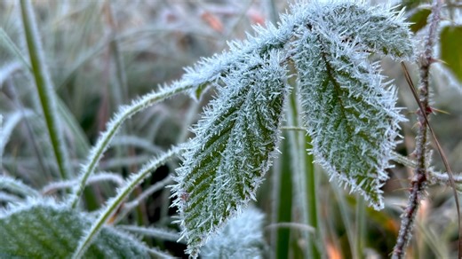 Freezing temps this week in MS. Will it snow? Here's the forecast