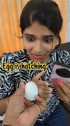 Egg is hatching 😰#shortsfeed#comedy#funnyshorts