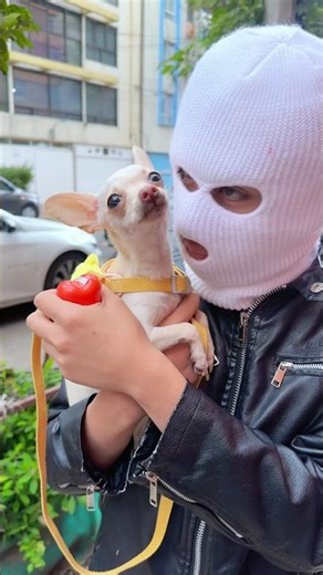 LES HAN ROBADO O PERDIDO UNA MASCOTA? 🥹🥲 #shorts #sketch #shortsviral