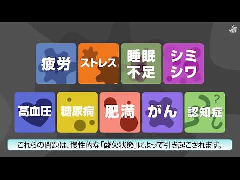 VIGO 高濃度酸素VIDEO