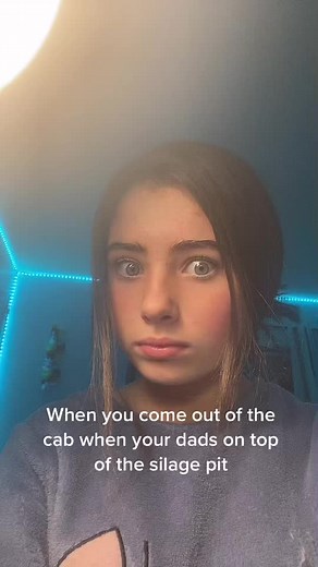 Understanding Silage in Modern Farming Practices