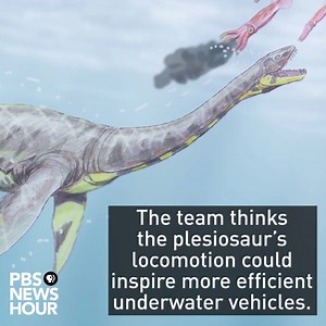 114K views · 593 reactions | Learn about the odd, swimming style of a plesiosaur, decoded by a robot. | PBS NewsHour | Facebook