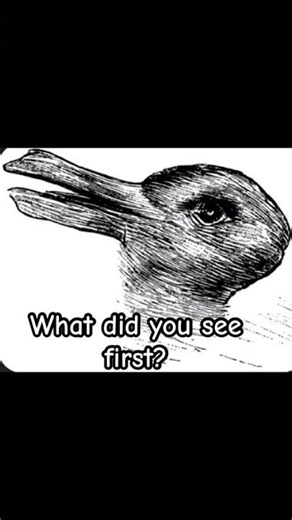 Duck or rabbit #illusion #shorts #fyp