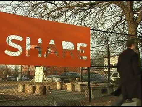 The Effects of Genetically Modified Foods