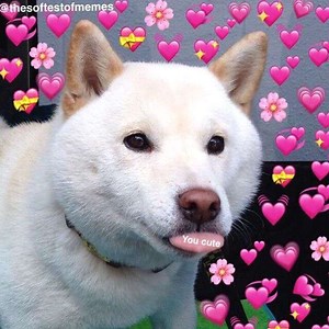 isnick_snick - Twitch