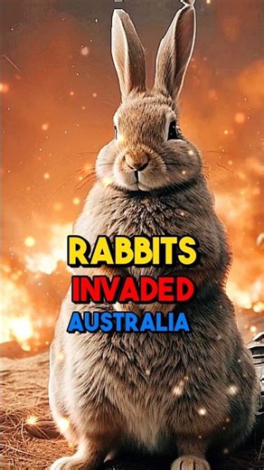 How Rabbits TOOK OVER Australia 🐰🇦🇺