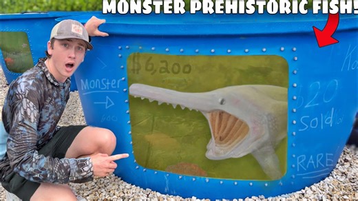 These Ancient Fish Grow Over 7 Feet – And Now They’re in My Backyard