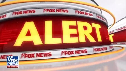 🚨FBI releases new description of suspect seen on Nancy Guthrie’s doorbell camera. -Male -Approximately 5’9” – 5’10” tall -Average build -Seen wearing black, 25-liter ‘Ozark Trail Hiker Pack’ backpack | Outnumbered Fox News