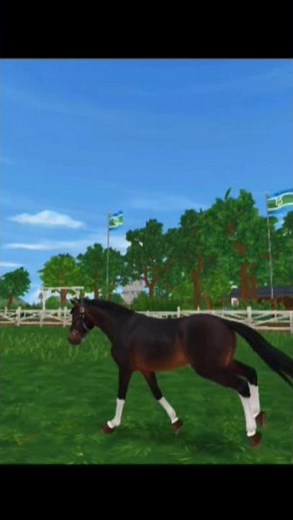 #sso #rrp #starstable #starstableonline #horse #springreiten