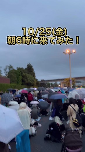 東京ディズニーランドのハロウィンイベントの魅力とアトラクション