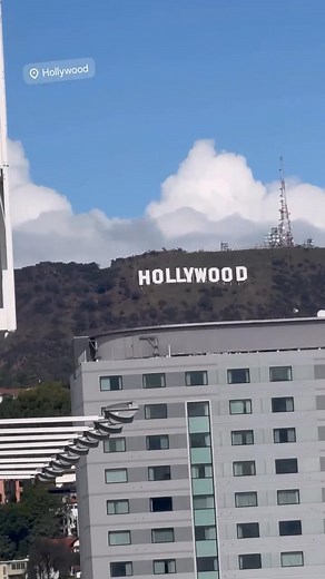 You understand me? 🦇 #tota | Tota Mc