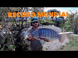 Primitive Fisherman David Madrid P2