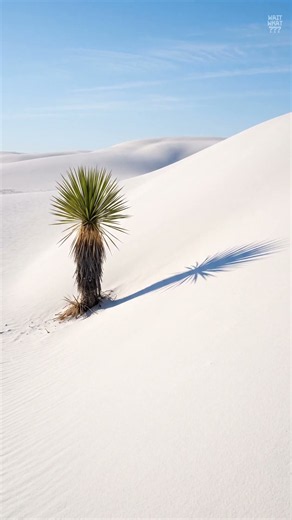 A Desert Made of Sand That Dissolves in Water #Shorts