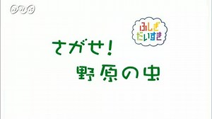 さがせ！野原の虫 | 理科３年　ふしぎだいすき | NHK for School