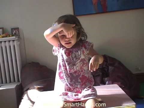 lion - ASL sign for lion