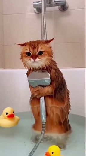 Shower Mic Activated🚿🎤 Sing Like A Star In Your Bathroom #music #singing #fun