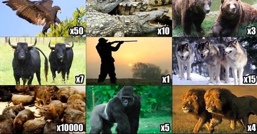 Correctly Ranking The ‘Pick 2 Animals To Defend You’ Meme ’Coz There’s Only One Clear Answer