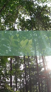 💚Natürlich wohnen leicht gemacht. Wände, die Wärme und Ruhe ausstrahlen - ganz ohne Chemie. 🌿 Mit Floxxan® Baumwollputz wird jedes Zuhause zu einem Ort zum Durchatmen. Natürlich. Atmungsaktiv. Wunderschön. ✨ 🎧Ton an & zurücklehnen. 👉Mehr Inspiration unter bit.ly/FLOXXAN-Shop #Floxxan #Baumwollputz #Flüssigtapete #Wandgestaltung #NachhaltigBauen #Innenausbau #Raumklima #Wohngesund #NatürlichWohnen #ecottex #Wohnideen #Interiordesign #nachhaltigwohnen | ecottex.de