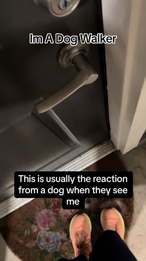 Dog Walker Remington | Funny Dog Reaction Videos