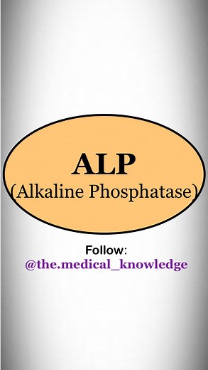 Medical Study on Instagram: "“High ALP? Think hepatobiliary or bone pathology first. One enzyme. Two systems. Countless clues — that’s Alkaline Phosphatase!“ .. 🤔 What is ALP (Alkaline Phosphatase) ? 👉Alkaline phosphatase is an enzyme that removes phosphate groups from molecules such as proteins and nucleotides, especially in alkaline (basic) conditions. 👉 Main Sources in the Body: 1. Liver – produced by cells lining the bile ducts. 2. Bone – produced by osteoblasts (bone-forming cells). 3. I