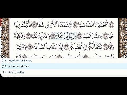 80 - Sourate Abasa - Dr Ayman Suwayd - Enseignant - Apprendre le Coran Tajweed