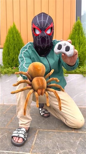 Remote Control Rc Spider Unboxing 🕷️